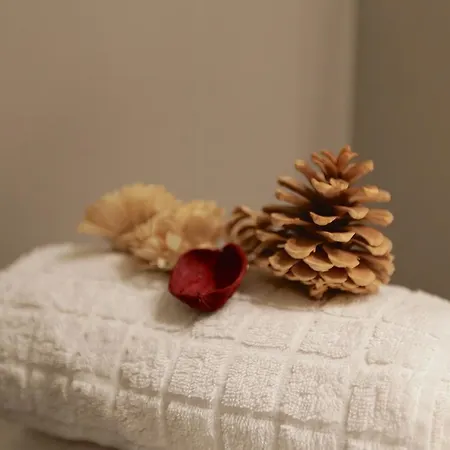 Palazzo & Suites Apartamento Roma
